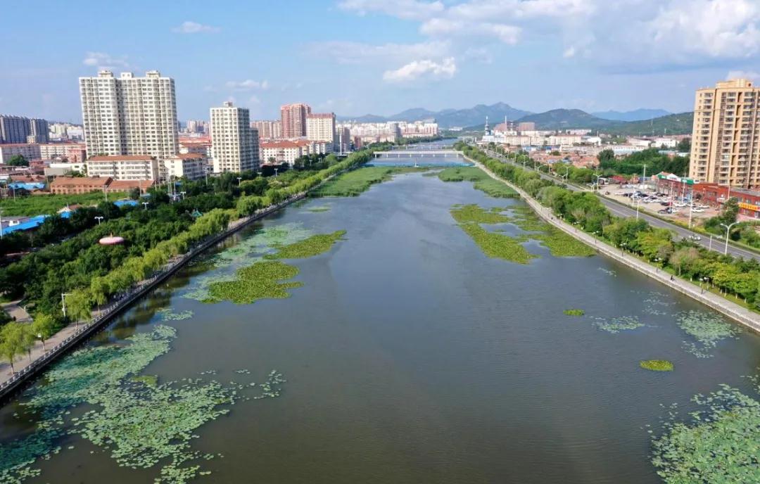 平泉市人民政府 动态要闻 市水务局集中开展"水草清剿