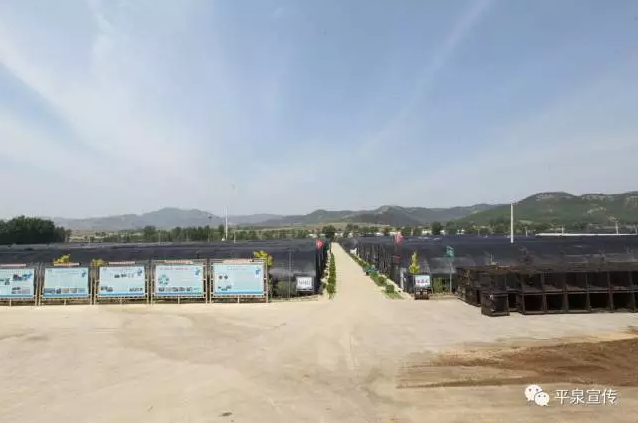 平泉县人口_平泉县版图(2)