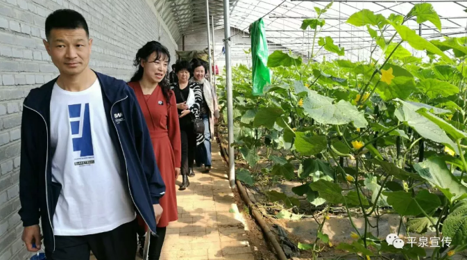 TIM截图20190508104933.png