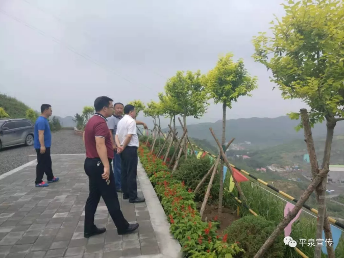 TIM截图20190809085033.png
