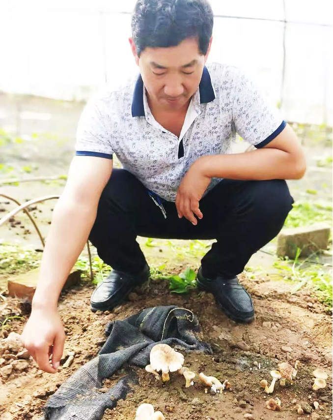 TIM截图20190920100301.png